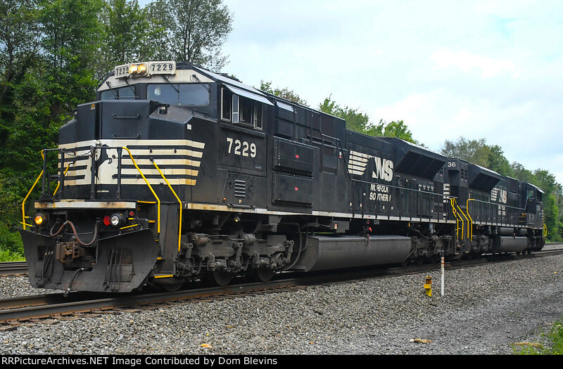 NS 7229